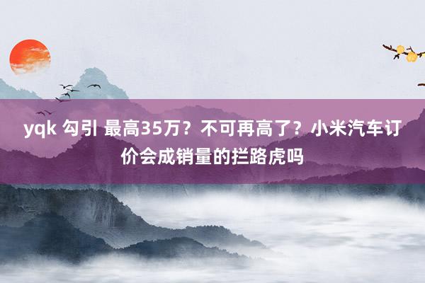 yqk 勾引 最高35万？不可再高了？小米汽车订价会成销量的拦路虎吗