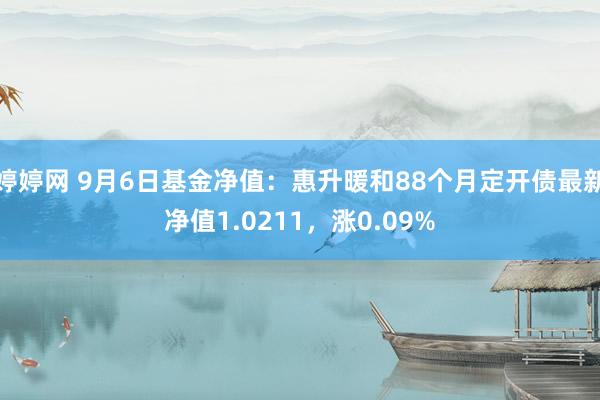 婷婷网 9月6日基金净值：惠升暖和88个月定开债最新净值1.0211，涨0.09%