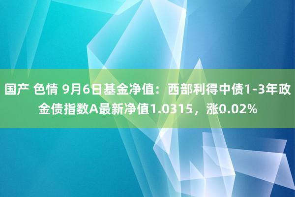 国产 色情 9月6日基金净值：西部利得中债1-3年政金债指数A最新净值1.0315，涨0.02%