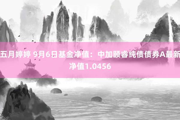 五月婷婷 9月6日基金净值：中加颐睿纯债债券A最新净值1.0456