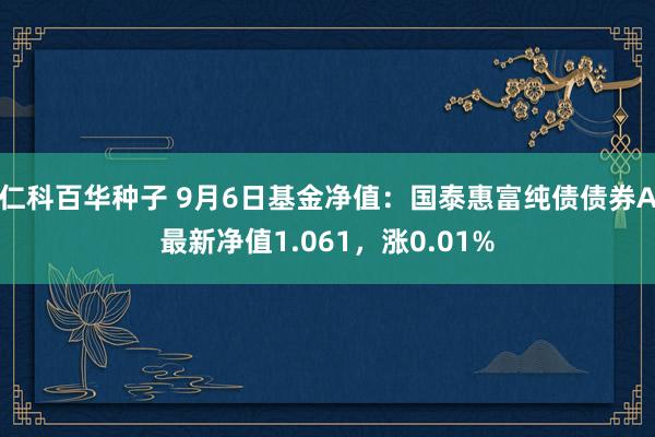 仁科百华种子 9月6日基金净值：国泰惠富纯债债券A最新净值1.061，涨0.01%