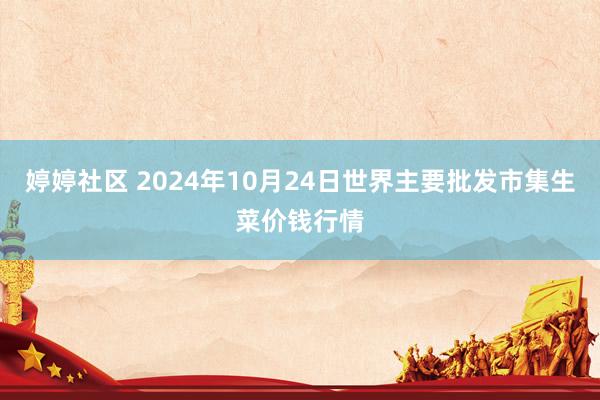 婷婷社区 2024年10月24日世界主要批发市集生菜价钱行情