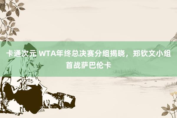 卡通次元 WTA年终总决赛分组揭晓，郑钦文小组首战萨巴伦卡