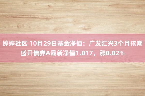 婷婷社区 10月29日基金净值：广发汇兴3个月依期盛开债券A最新净值1.017，涨0.02%