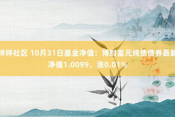 婷婷社区 10月31日基金净值：博时富元纯债债券最新净值1.0099，涨0.01%